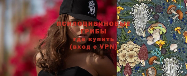 амф Алексеевка