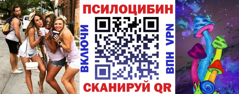 где купить   Топки  Псилоцибиновые грибы мухоморы 